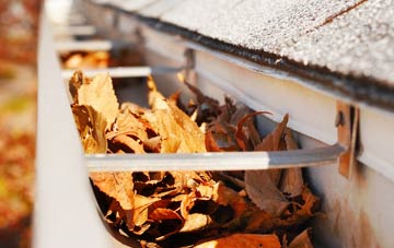 West Watford gutter cleaning companies